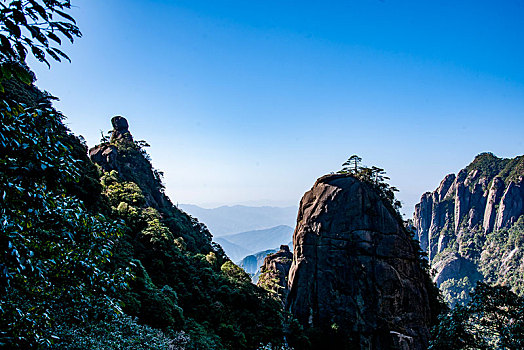 迷要怎么买淘宝暗语F3381681-338168